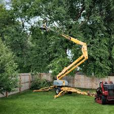 Best Storm Damage Tree Cleanup  in Cocoa, FL